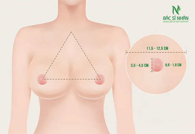 PHẪU THUẬT THU NHỎ ĐẨU TI